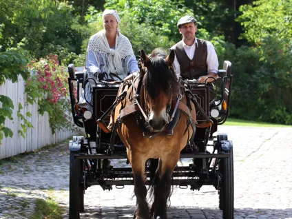 Häst och vagn vid Gamla Linköping